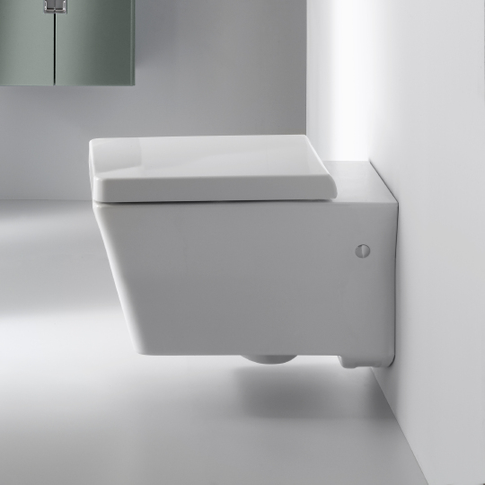 изображение Унитаз подвесной Jacob Delafon Reve E4811 с сиденьем микролифт от Магия Воды